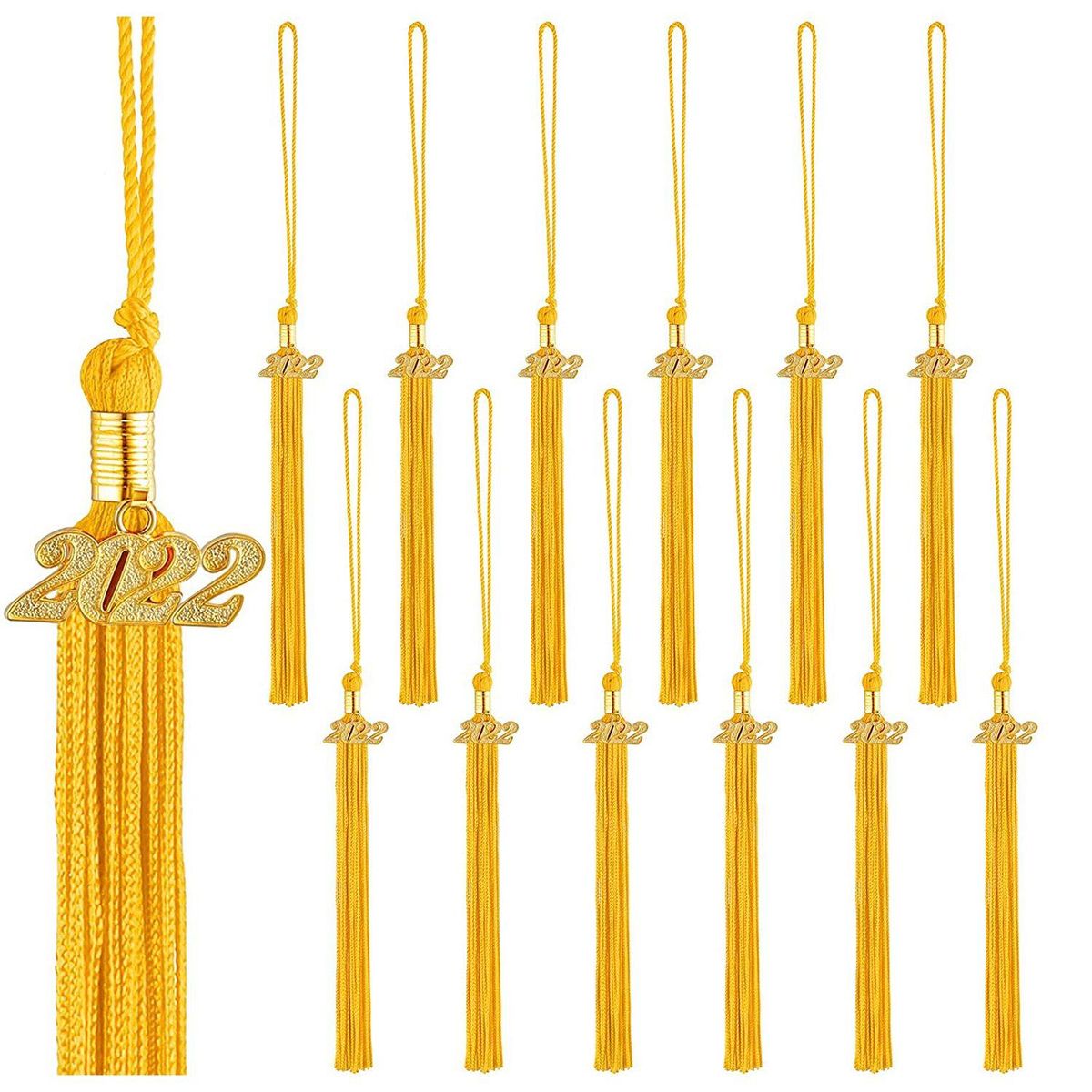 18 Pieces Graduation Tassel with 2022 Charm for Graduation