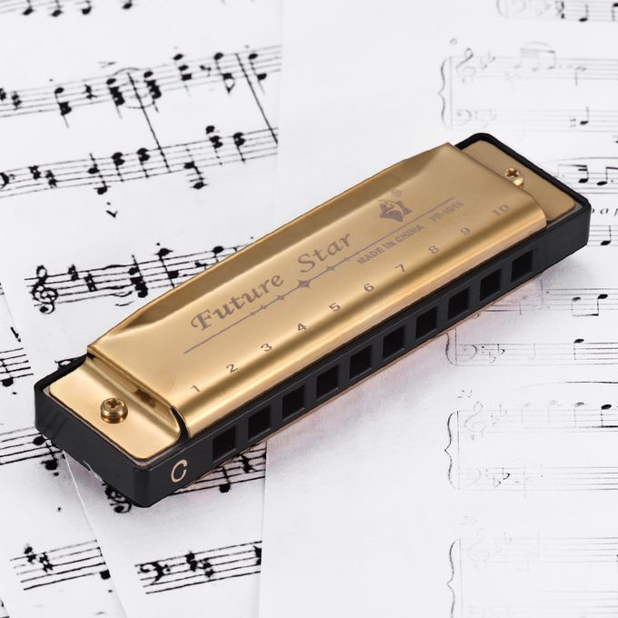 Key Of C Diatonic Harmonica Mouthorgan With ABS Reeds