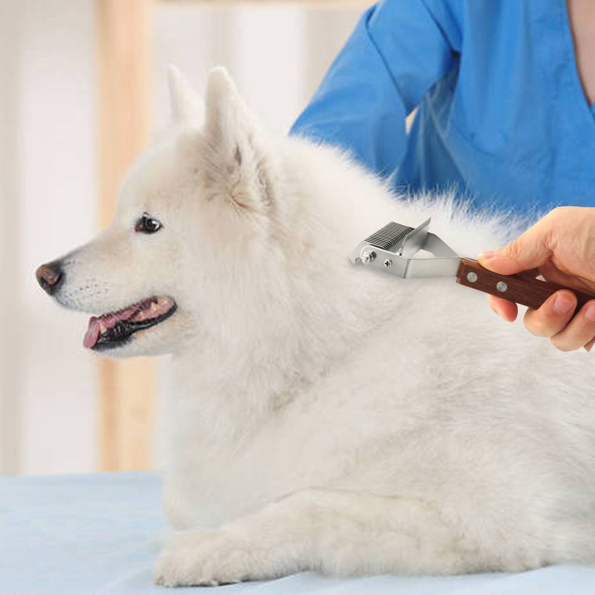 Dog Brush Cat Brush 2 Sided Pet Grooming Tool For Shedding