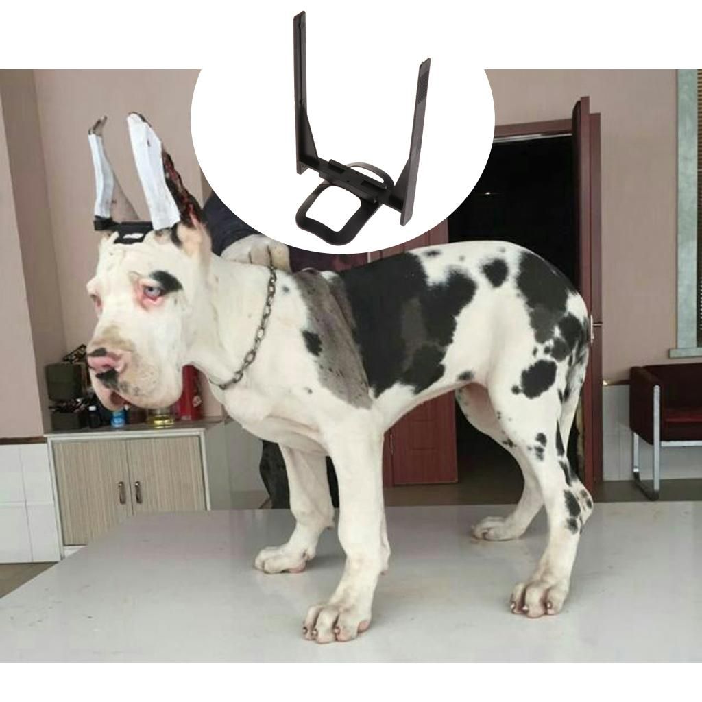 Dog Ear Care Tools Ear Erect Standing Up,Doberman Pinscher Dog Ear