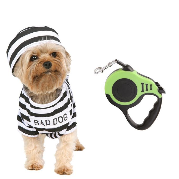 Long 5m Retractable Dog Leash Dual Locking Extendable Dog Green