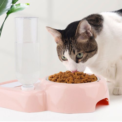 500ML 2in1Cats Dogs Automatic Pet Drinking Double Bowl  Pink
