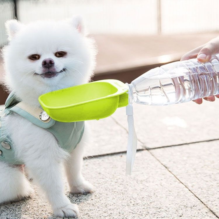 Pet Drinking Fountain Portable Pet Drinking Fountain