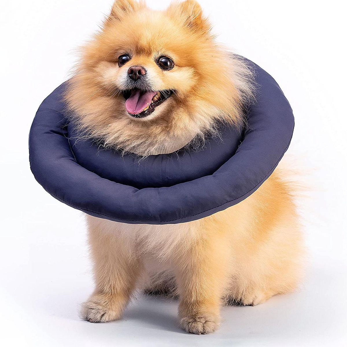 Pet Collar 2 Layer Cat Neck Cone Navy Blue