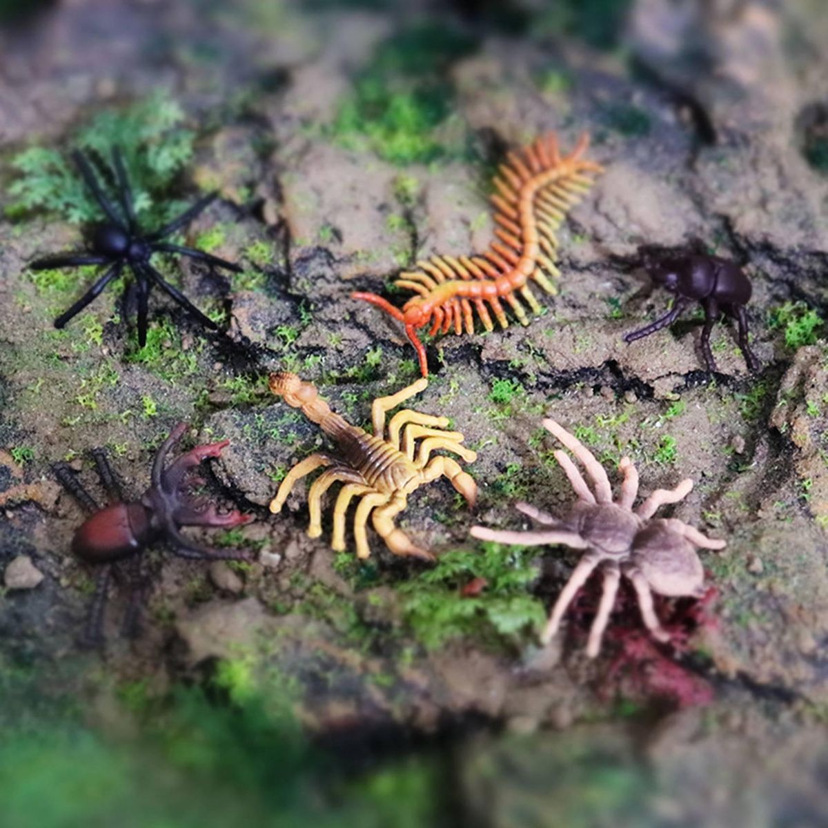 6Pcs Children's Simulation Wild Insect Animal Model Set for Children Education Insect Themed Party B