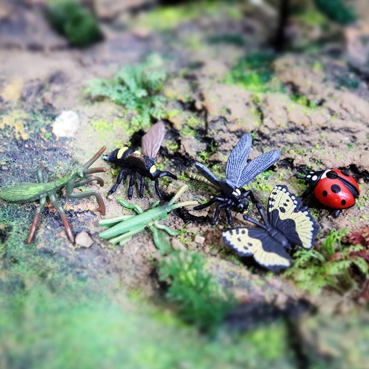 6Pcs Children's Simulation Wild Insect Animal Model Set for Children Education Insect Themed Party B