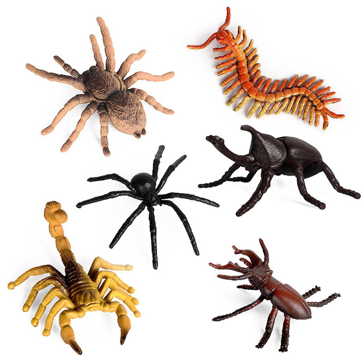 6Pcs Children's Simulation Wild Insect Animal Model Set for Children Education Insect Themed Party B