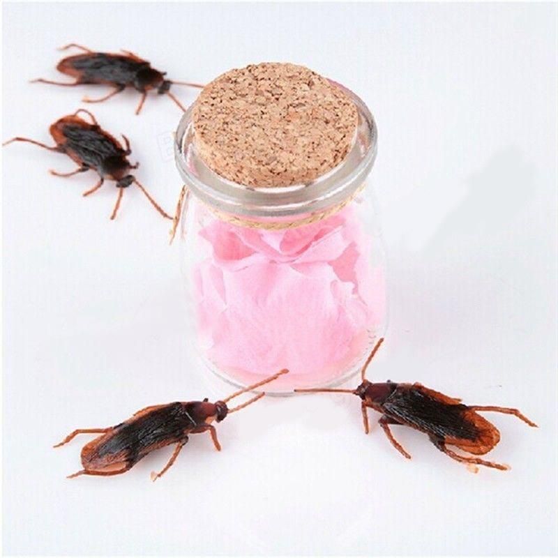 12 Pcs Halloween Simulated Plastic Cockroaches Deceptive Props Toy Trick Decor
