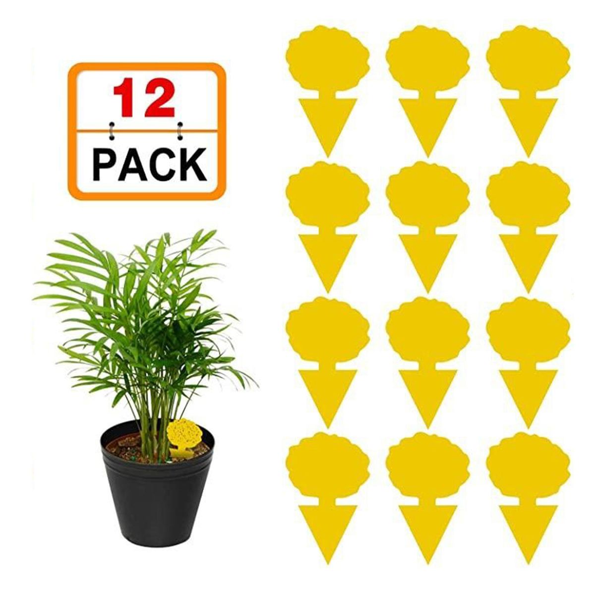 12x Fly Insect Catcher Sticky  Glue Bug     2