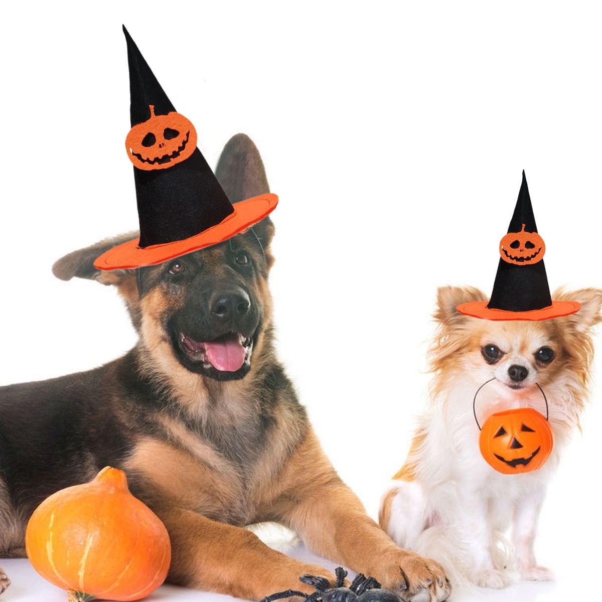 Puppy Cap Cute Halloween Pet Cap Headgear H