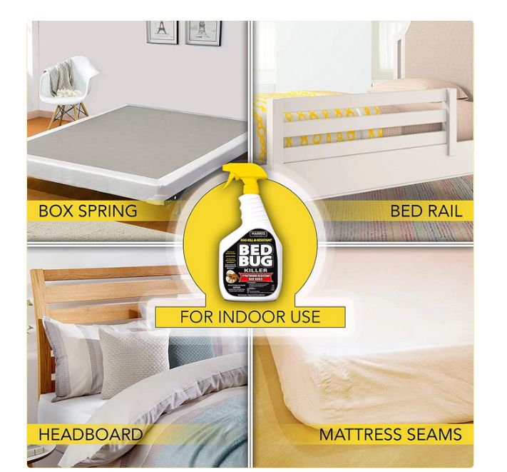 Bed Bug & Egg Killer, Toughest Liquid 946ml