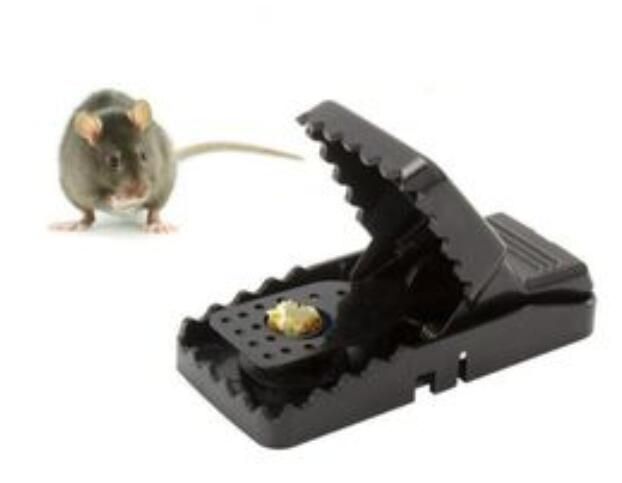 8PCS Mousetrap Catcher Mice High Quality Bait Snap Reusable Rat Catching Mice Mouse Traps Rodent Spring Pest Control Rat Catching