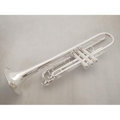 Trumpet (Silver) (nationwide Delivery)