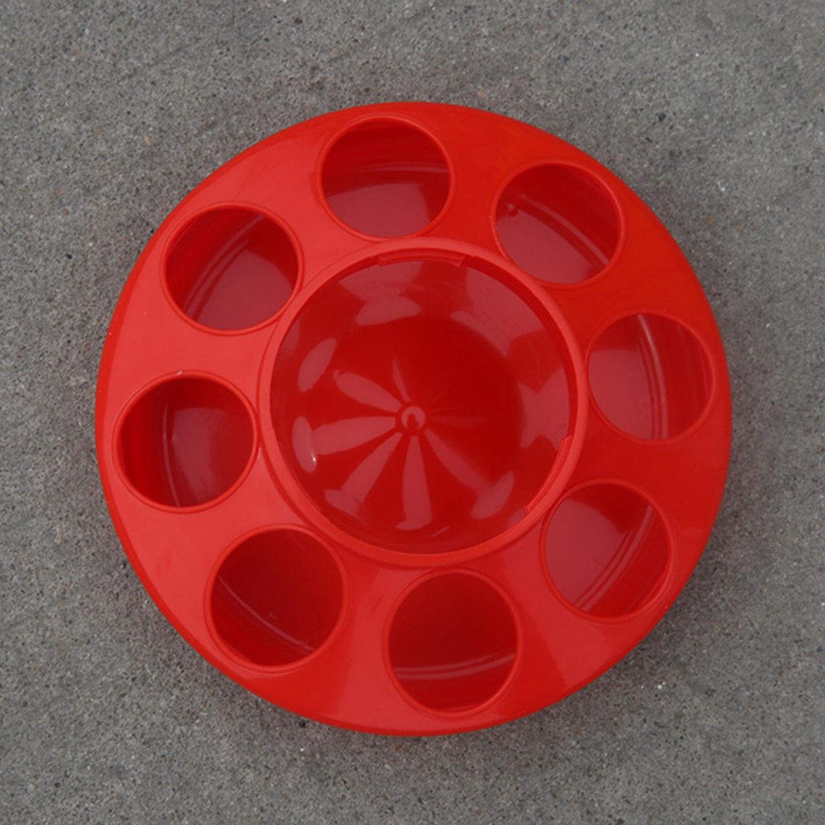 Feeder Chicken Drinker Portable Water Dispenser For