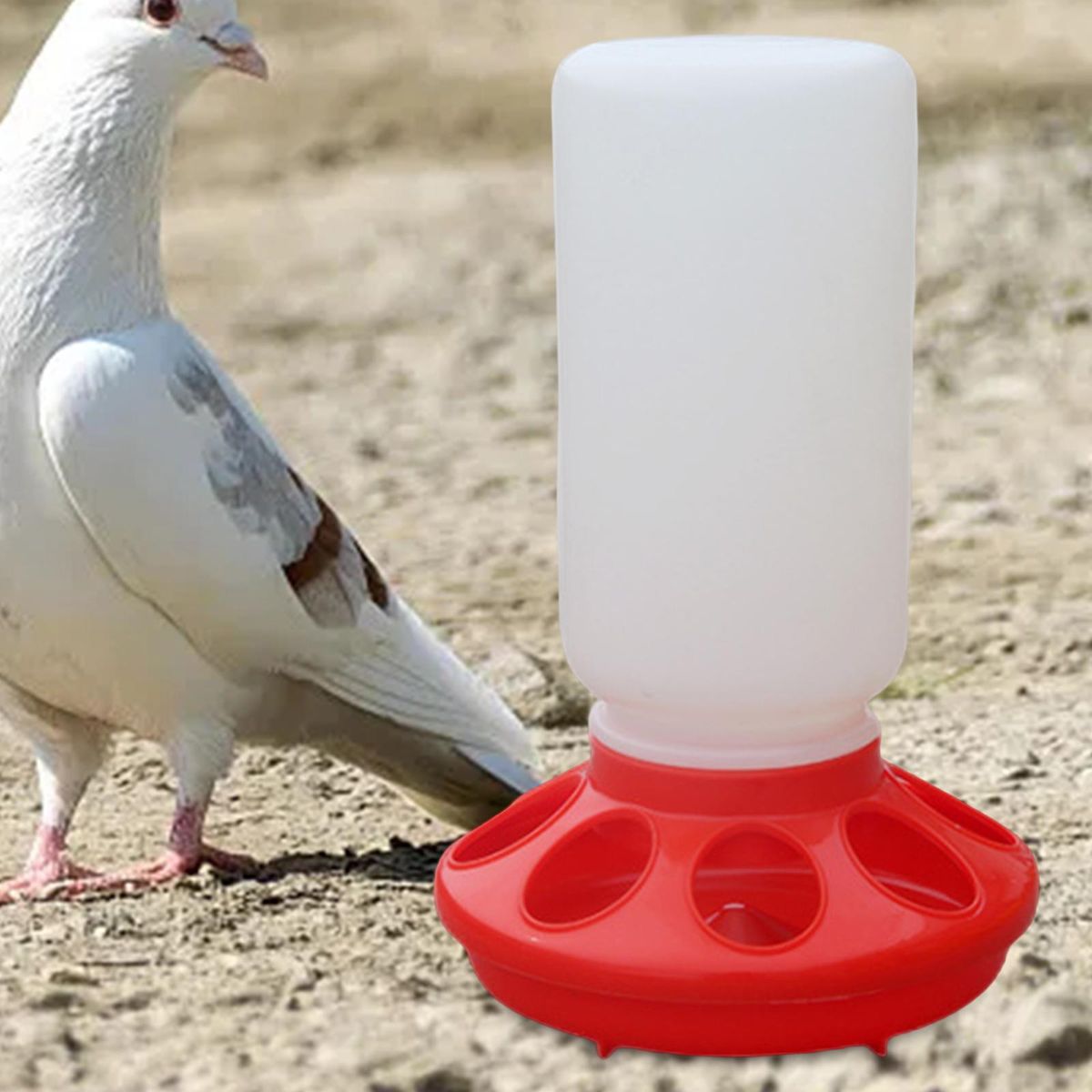 Feeder Chicken Drinker Portable Water Dispenser For