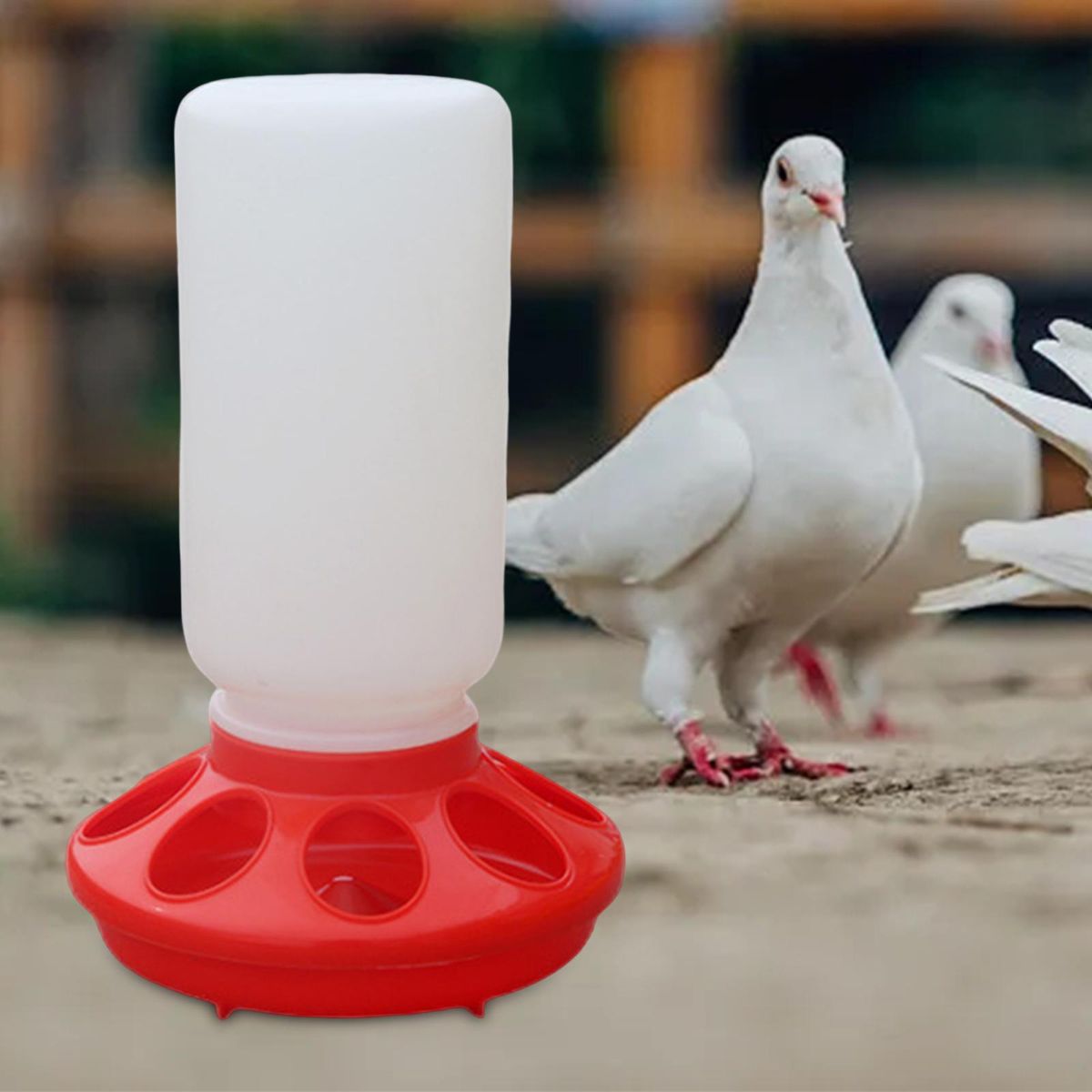 Feeder Chicken Drinker Portable Water Dispenser For