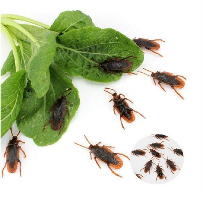 12 Pcs Halloween Simulated Plastic Cockroaches D