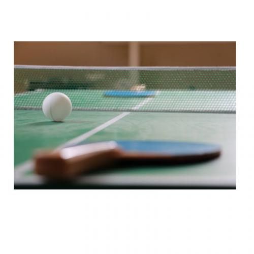6 Pcs Quality Table Tennis Ball