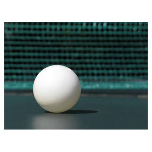 6 Pcs Quality Table Tennis Ball