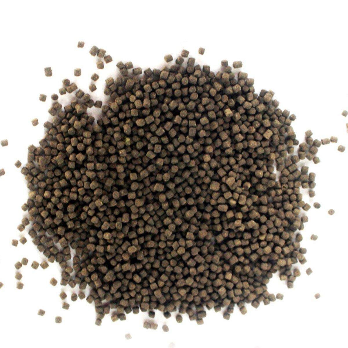 100G SuperFoods Aquarium Catfish Feed Koi Pond Fish Food Sinking Pellet # Large Large Particles