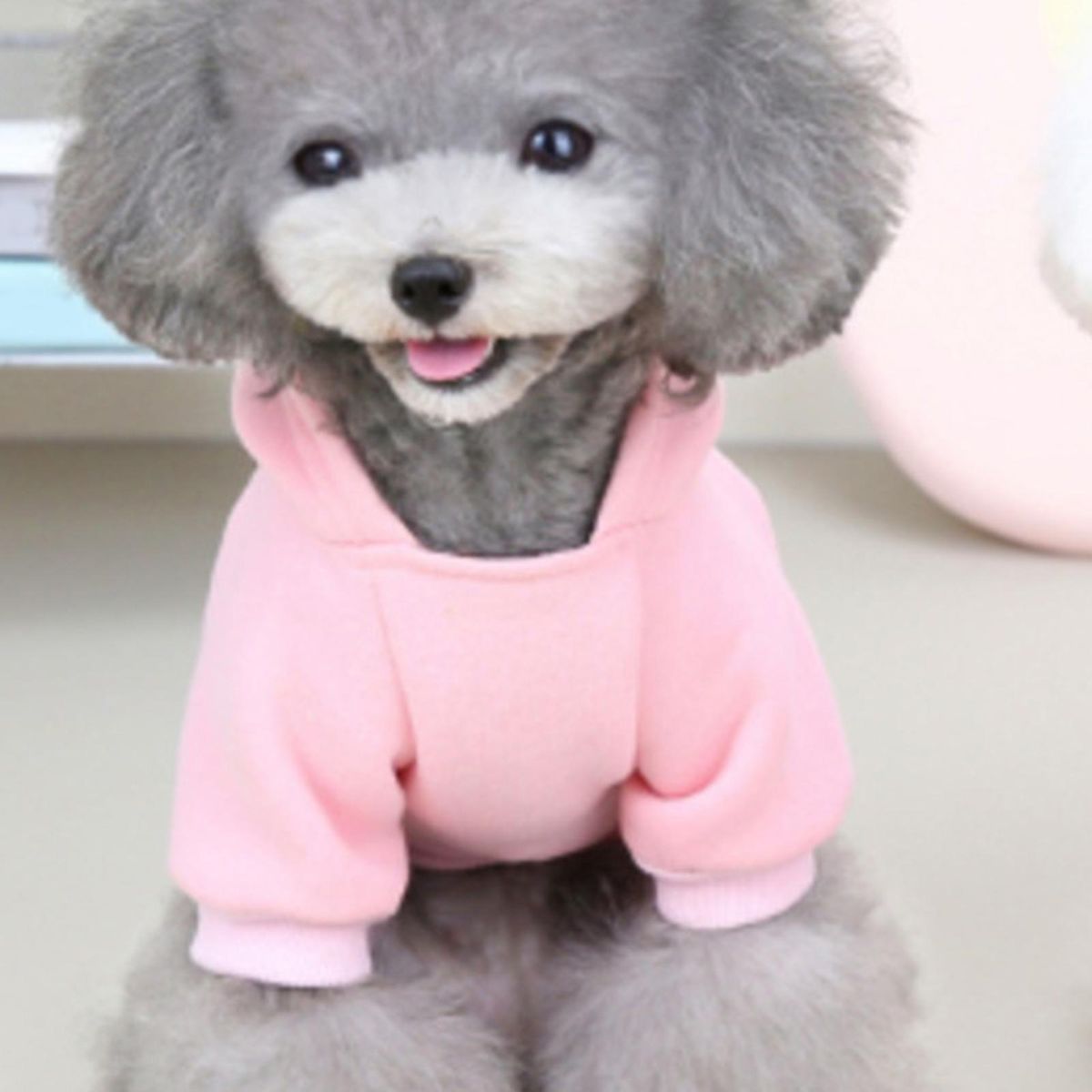 Pet Costume Fruit English Print Pet Vest Pink