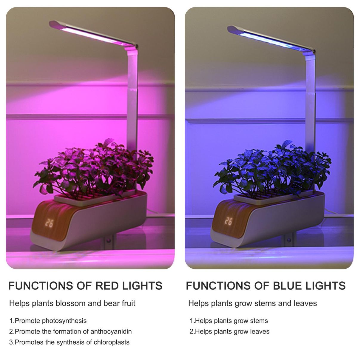 Hydroponics Growing System, Indoor Herb Garden Kit with Grow Light, Smart Garden for Home and Kitchen, Indoor Plant Growing System, Herb Grower Vegetable Gardening System