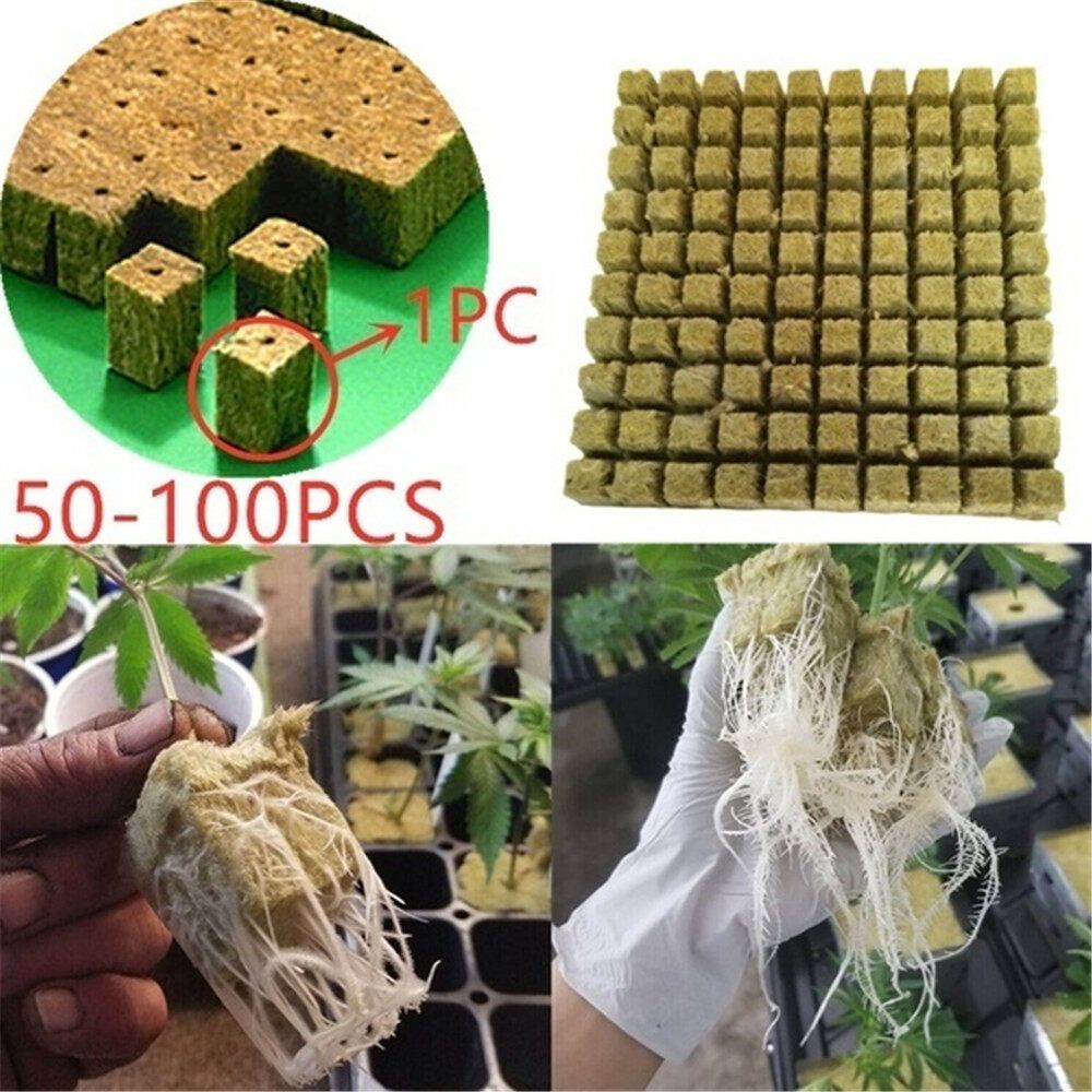 50/100Pcs Rockwool Stonewool Hydroponics Grow Starter Cubes Propagation Block 50pcs