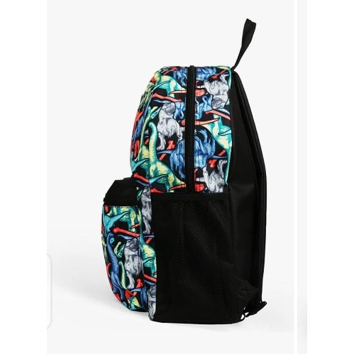 Dinosaur 17inch Backpack Set