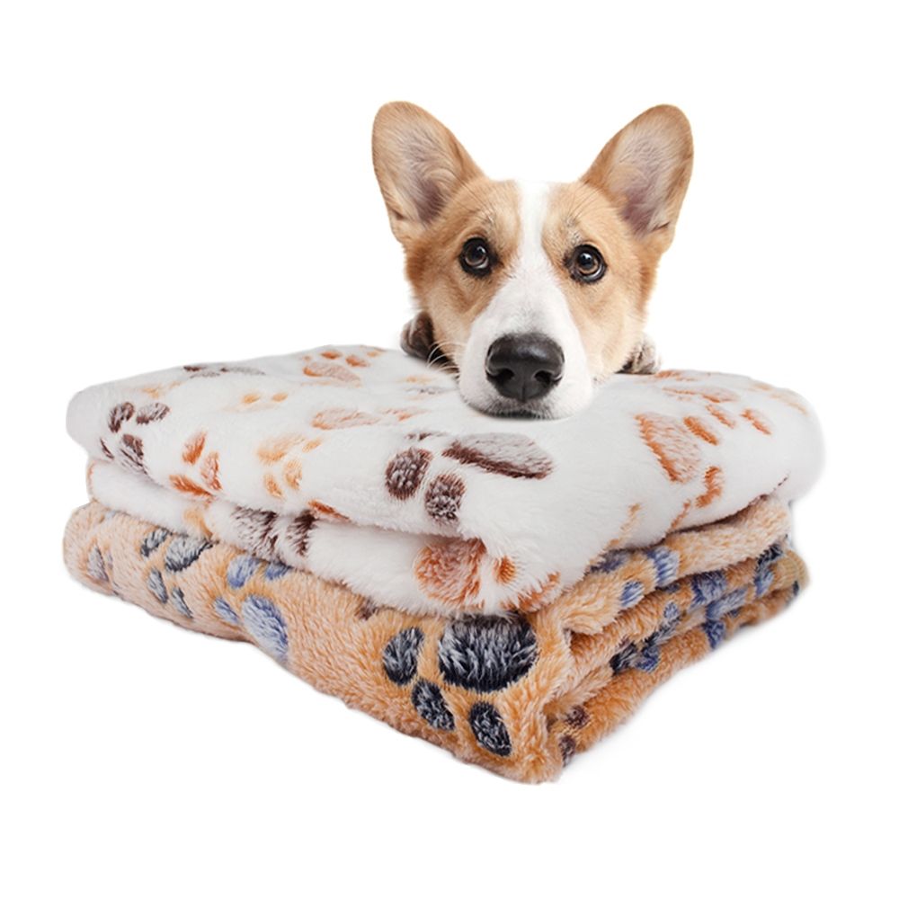 Pet Bed Coral Fleece Pet Mat