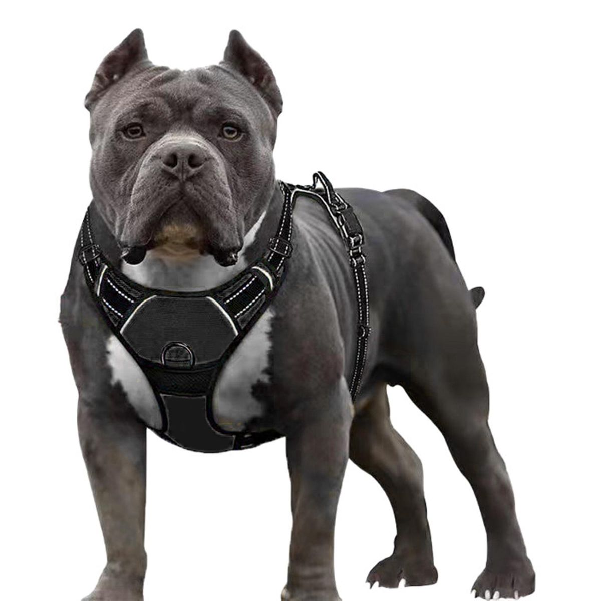 Dog Vest Harness Comfortable Lightweight Adjustable Pet