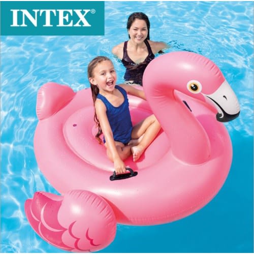 Teen Flamingo Ride On - Pink