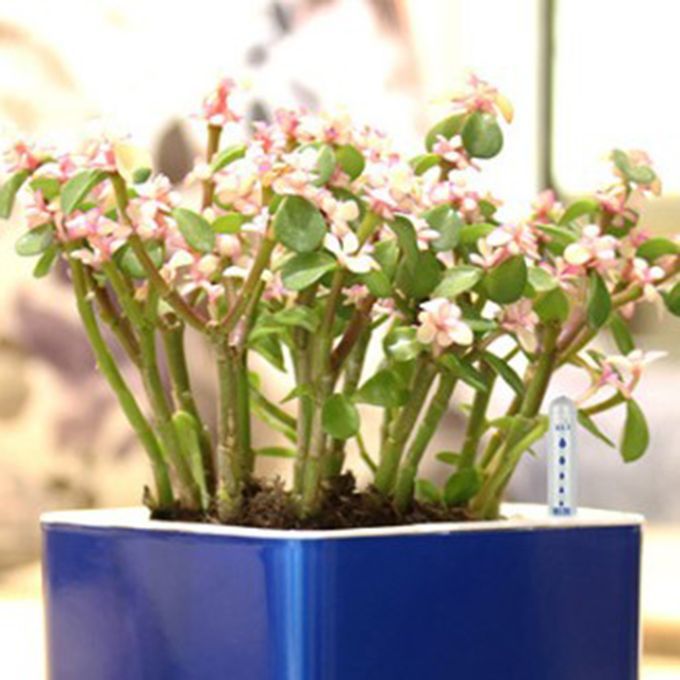 10x House Plant Soil Moisture Meter Humidity Sensor Probe For House