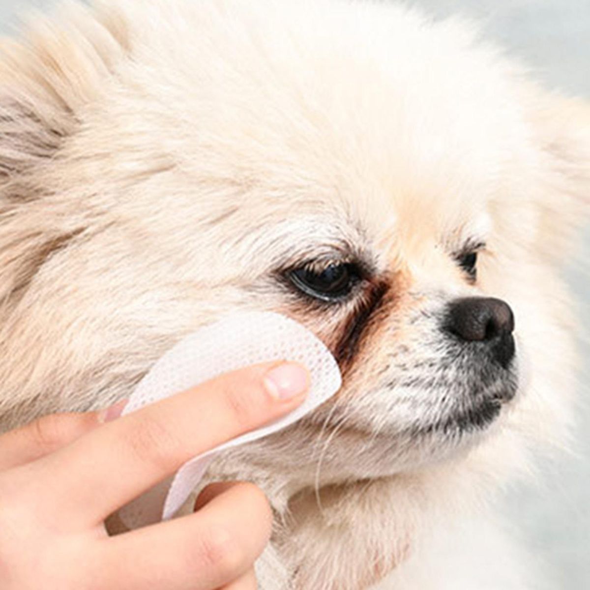 Pet Cleaning Wipes Cat Stain Remover Dog Wet Wipes Grooming Eye 130pcs