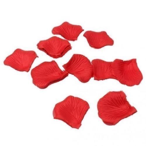 Red Rose Petals Flowers