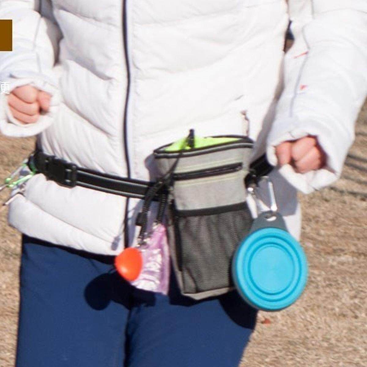 Dog Training Walking Pet Cat Pouch Waist Belt Snack Treat Storage Bags Dispenser Green