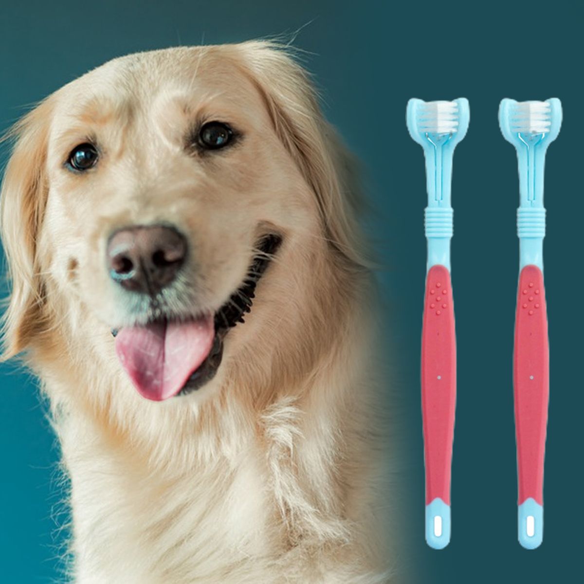 2Pcs Toothbrush Cat Dog Teeth Cleaning Brush Blue
