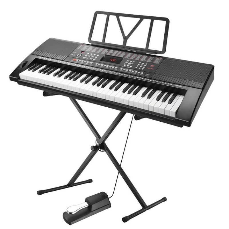 Universal Sustain Foot Pedal Piano - Style With Polarity
