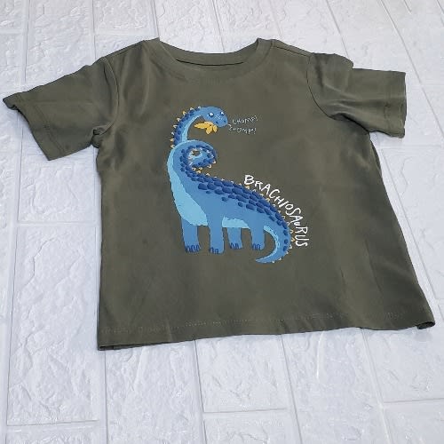 Boys Print T-Shirt