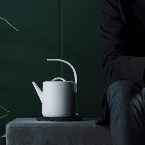 Electric Kettle Household 220V Electric Tea Service 1000W Fast Boiling Water Kettle Desktop 750ML Tea Pot