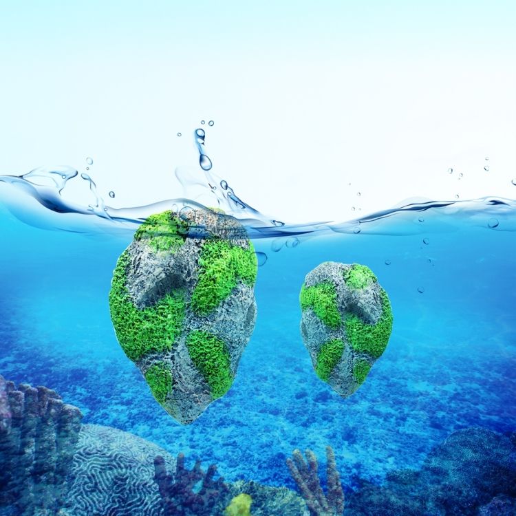 Aquarium Decoration Floating Stone