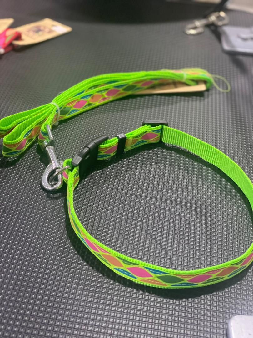Pet Collar And Leash