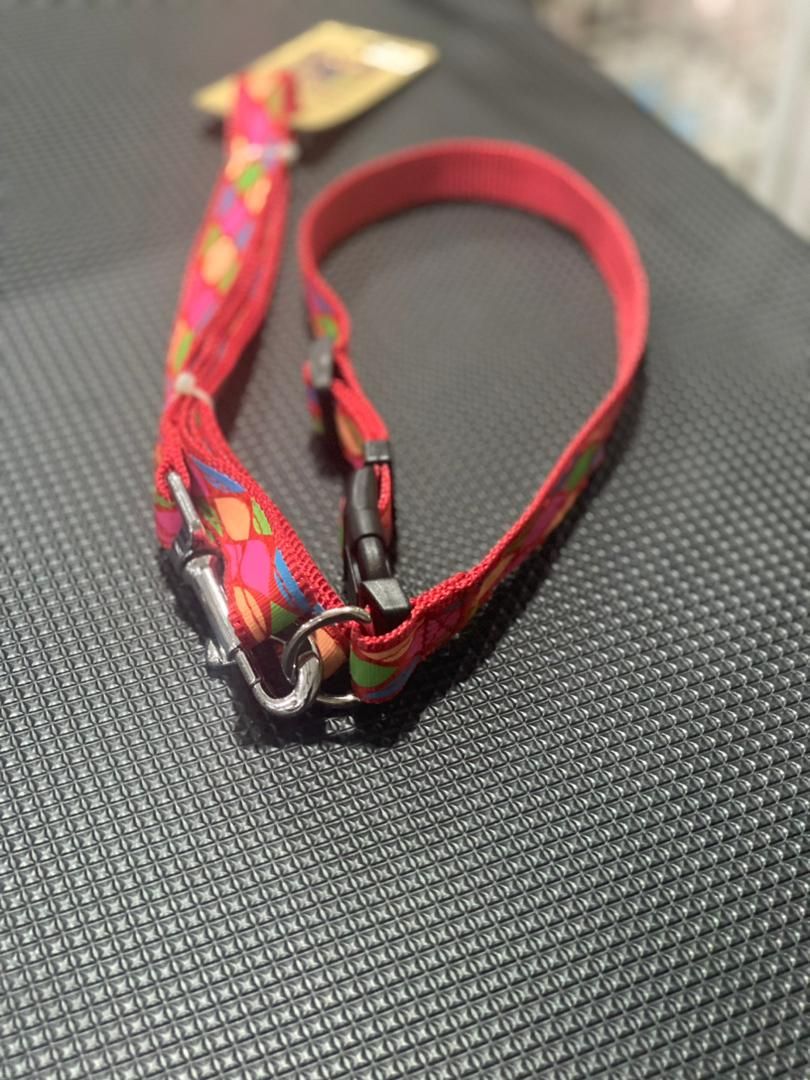 Pet Collar And Leash