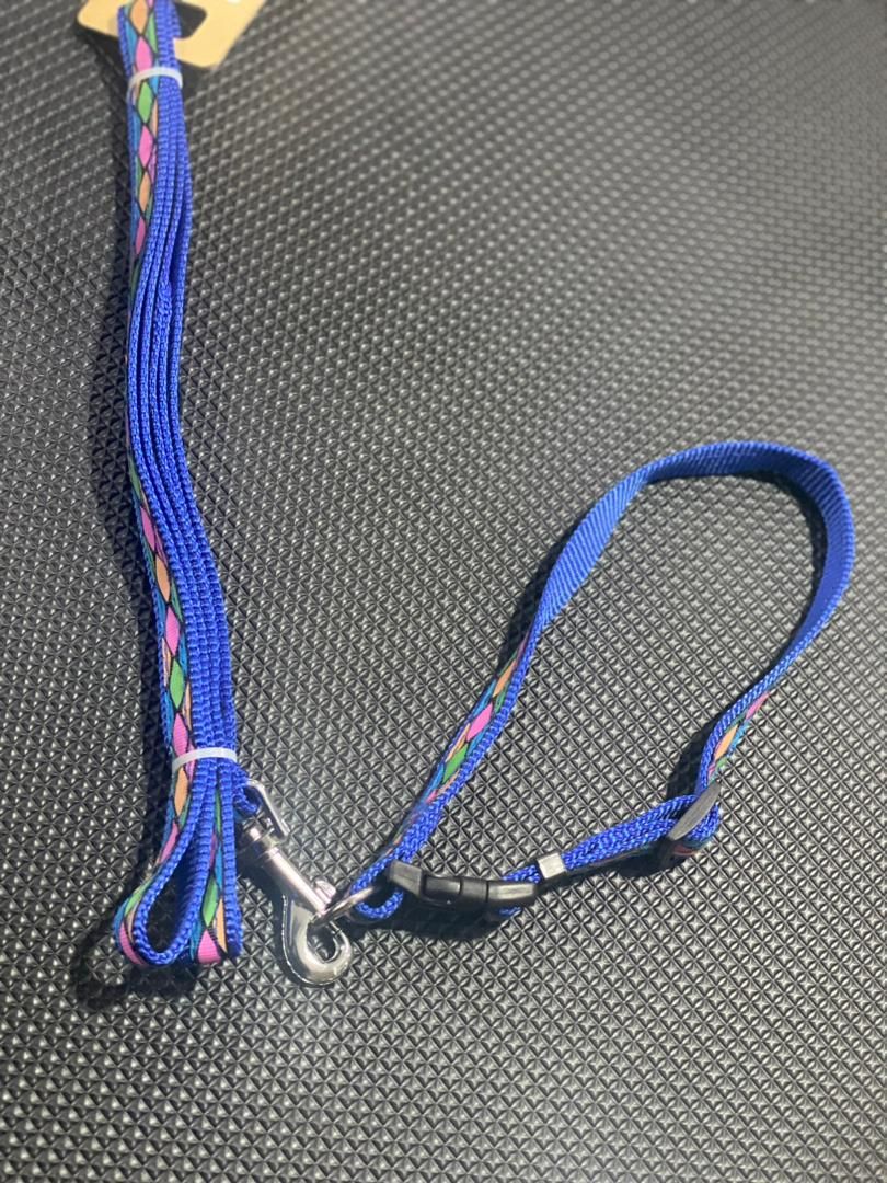 Pet Collar And Leash
