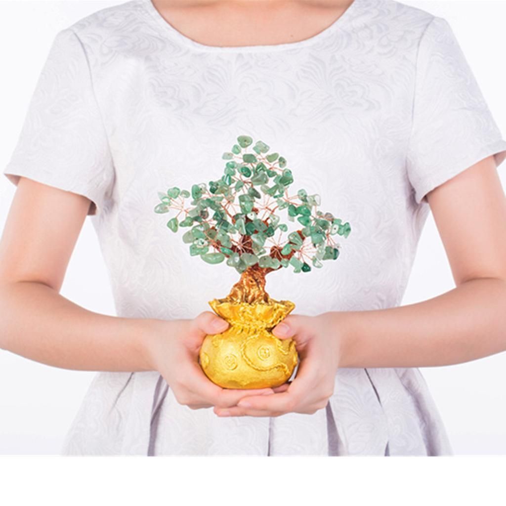 Money Tree Bonsai Style Feng Shui Bring Wealth Luck Green