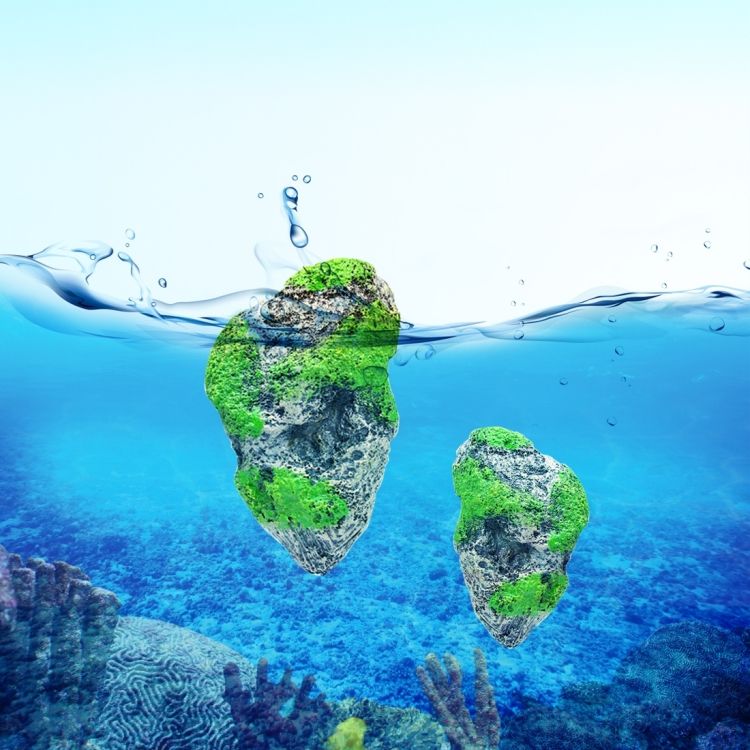 Aquarium Decoration Floating Pumice Suspended Stone Artificial Fish Tank Acuarios Moss Flying Rock Aquatic Ornament Landscape, Middle Size: 8.7 X 14.3cm