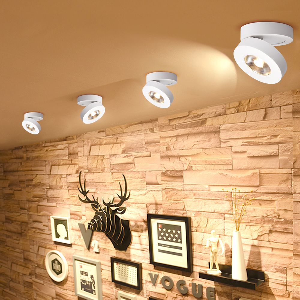 [DBF]Angle Adjustable LED Surface Mounted Downlight 360