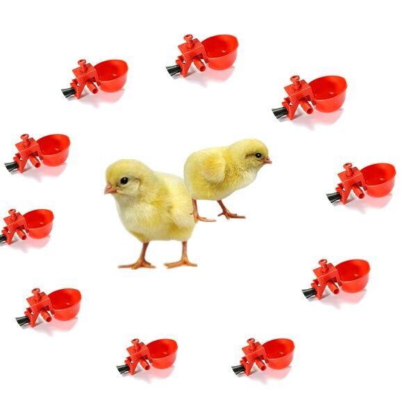 20pcs Automatic Bird Coop Feed Poultry Chicken Fowl Drinker Water Drinking Cups