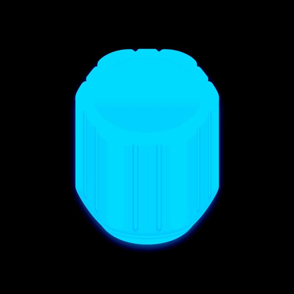 10Pcs Glow Valve Cap Fluorescent Blue Glow Automobile Motorcycle Bicycle Wheel Tire Hub Luminous Cap Decoration