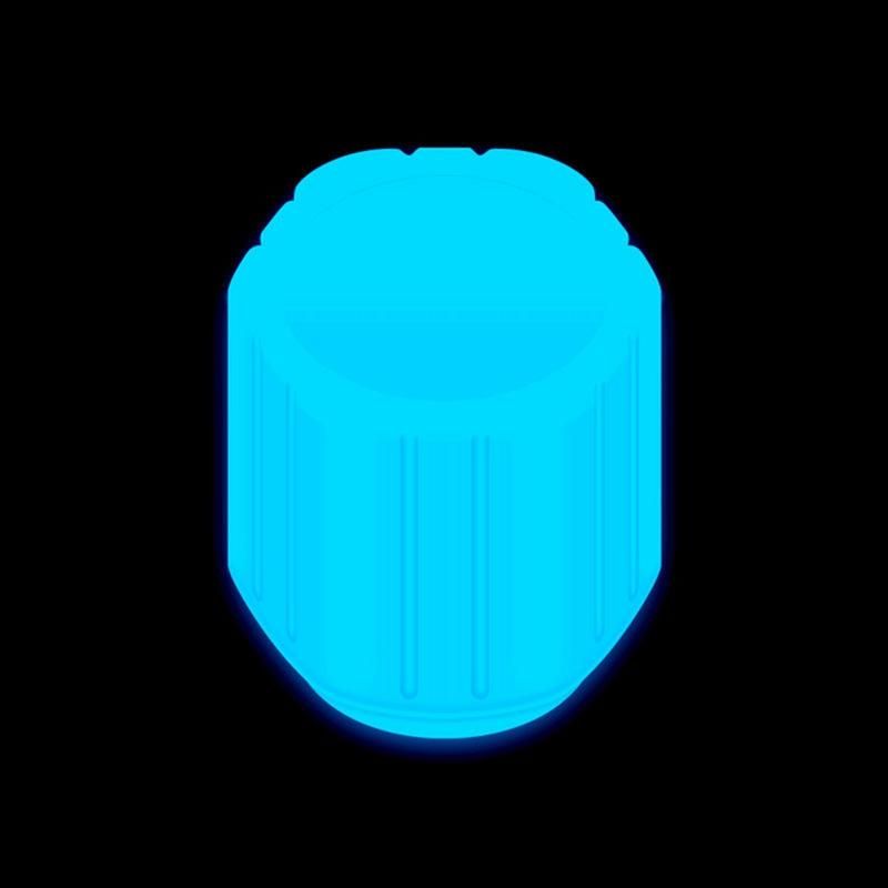 10Pcs Glow Valve Cap Fluorescent Blue Glow Automobile Motorcycle Bicycle Wheel Tire Hub Luminous Cap Decoration
