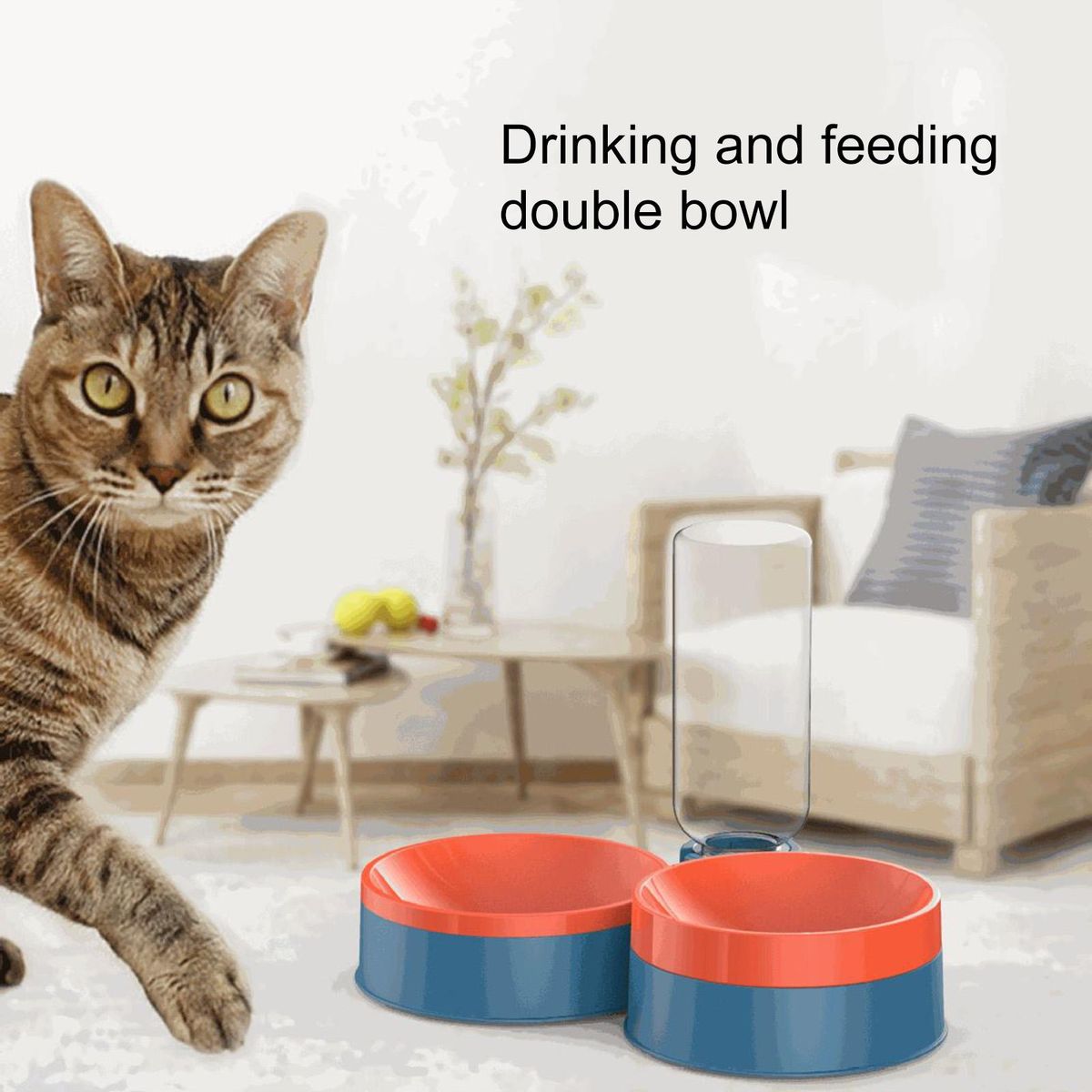 1 Set Pet Feeder Bowl Cat Dog Double Bowls Pet Food Dispenser Bowls Blue